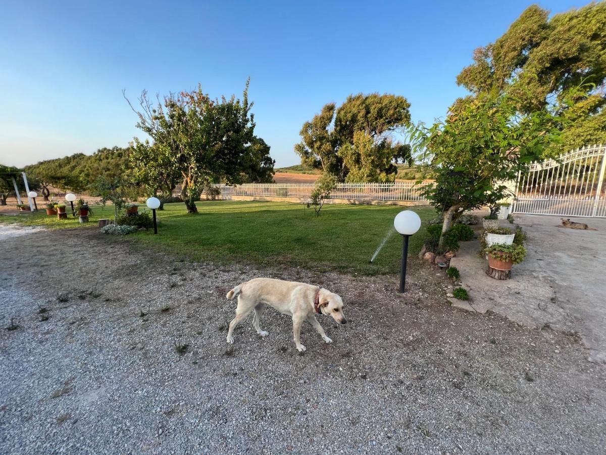 Bed & Breakfast The Arches House Iun F1092 *